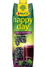 Rauch Happy Day Schwarze Johannisbeere 1 Liter