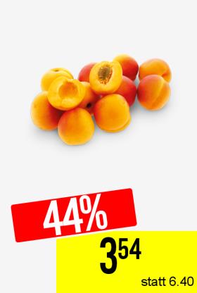 Aprikosen Spanien kg
