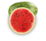 Wassermelonen Dumara kg