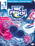 WC Frisch Kraft aktiv Blütenfrei 50 g