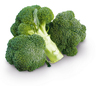 Broccoli kg