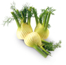 Fenchel kg