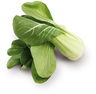 Pak-Choi Beutel à 2 Stück