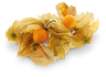 Physalis Schale à 100 g