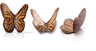 Dobla Chocolat Schmetterling 120 Stk.