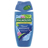 Palmolive Dusch Thermal Spa Mineral Massage 250 ml